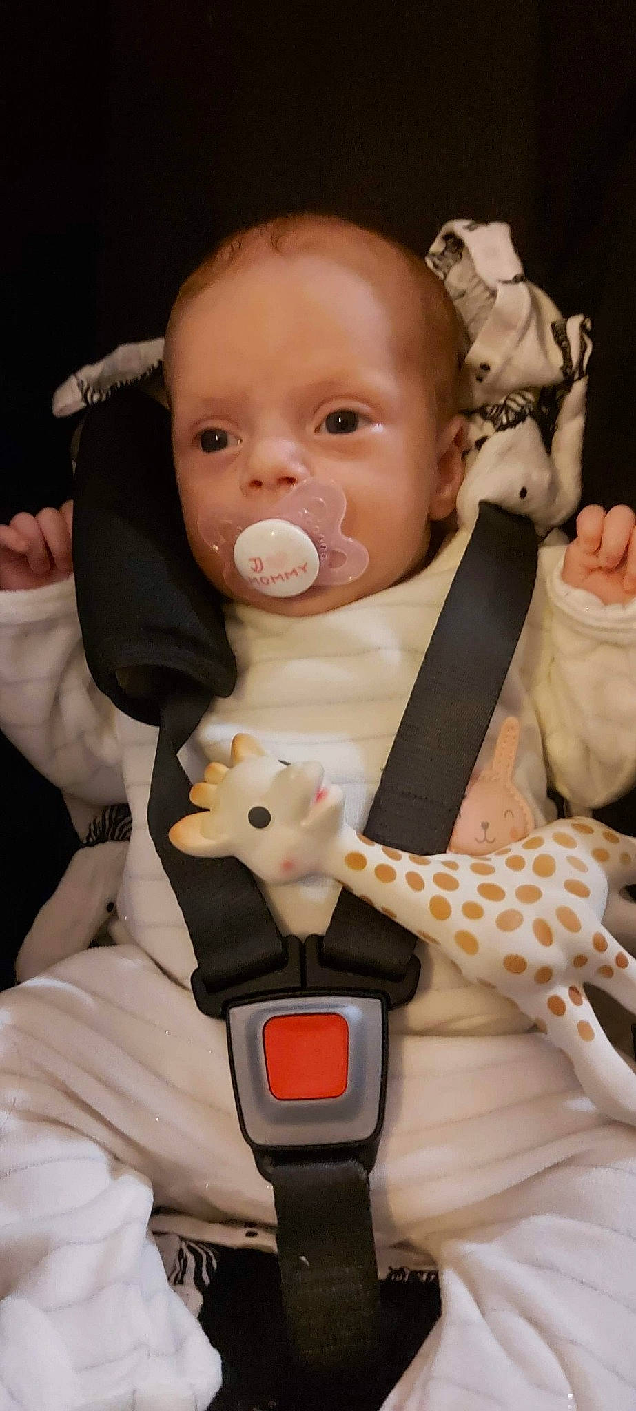 Joyce a rejoint le concours — aidez-le/la à gagner de superbes lots ! baby, cheek, child, ear, fawn, giraffe, giraffidae, head, neck, person, product, toddler