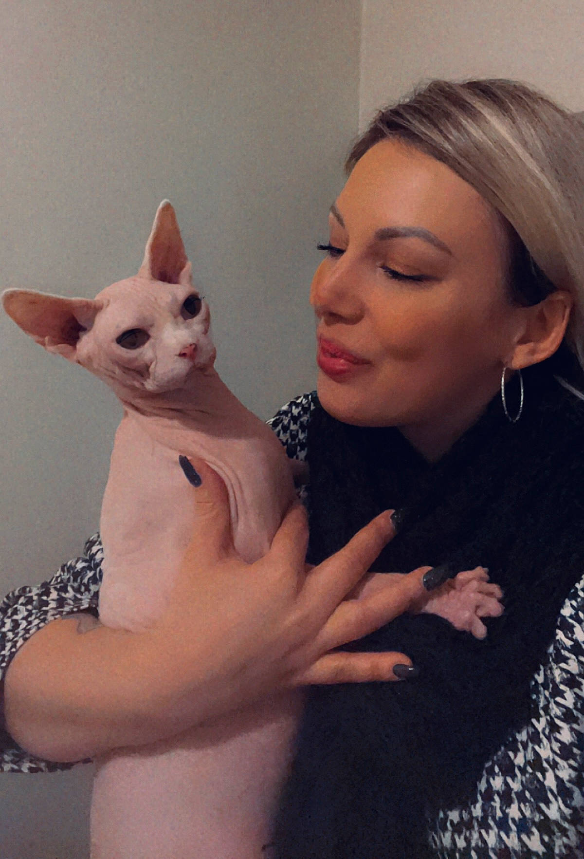 E.t participe au concours pour gagner de l'argent avec cette photo : carnivore, cat, chin, ear, eye, eyebrow, eyelash, facial_expression, felidae, gesture, head, iris, jaw, joint, lip, mammal, neck, nose, skin, small_to_medium_sized_cats