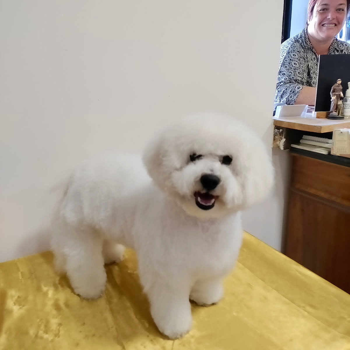 Tina
