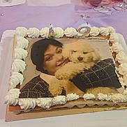 Tina a rejoint le concours — aidez-le/la à gagner de superbes lots ! birthday_cake, cake, dog, puppy, woman, portrait, edible_image, frosting, whipped_cream, candles, birthday, celebration, table, plate, spoon, glass, hands, fluffy, pet, food