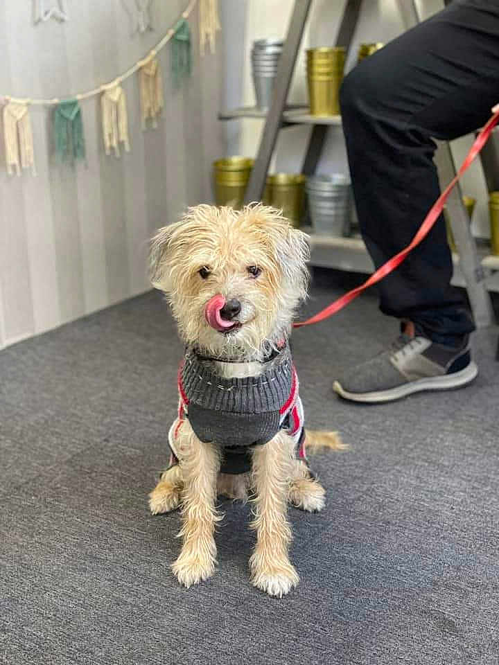 Max