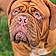 Arlo