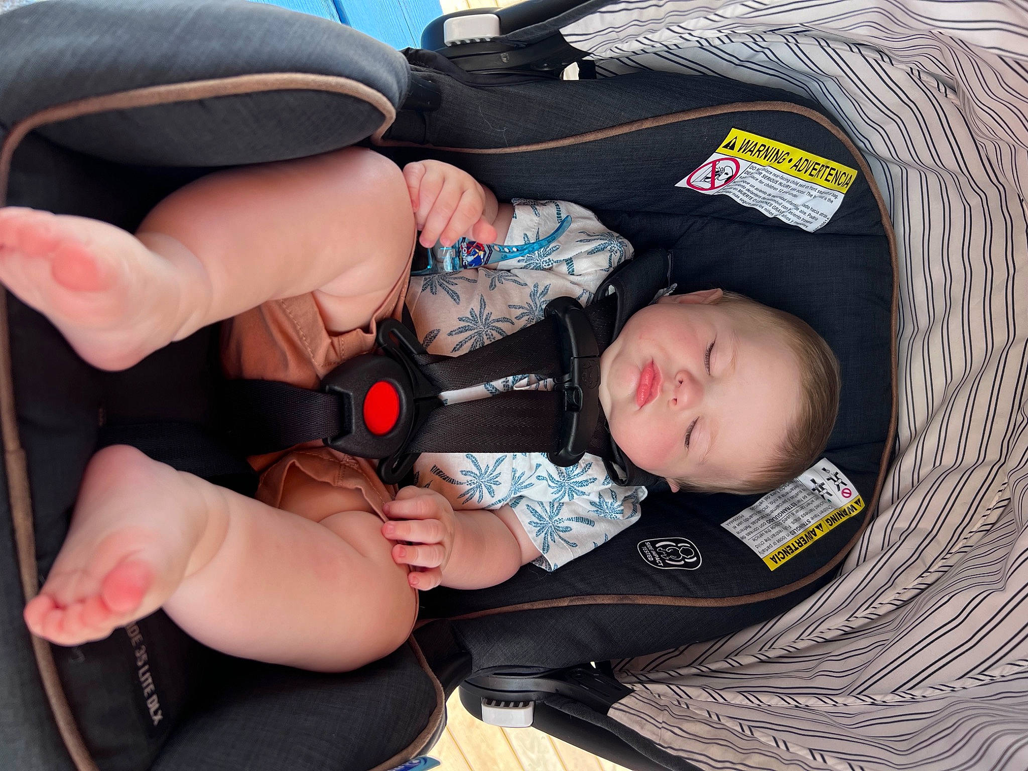Dusty joined the competition — help win amazing prizes! auto_part, baby, baby_carriage, baby_products, baby_toddler_clothing, car_seat, child, comfort, elbow, finger, gesture, hat, lap, nail, person, personal_protective_equipment, sitting, thigh, thumb, toddler