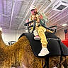 child, adult, camel, indoor, ride, waving, smiling, saddle, gymnasium, american_flag, person, animal, fun, event, people, casual_clothing, footwear, beard, hat, glasses