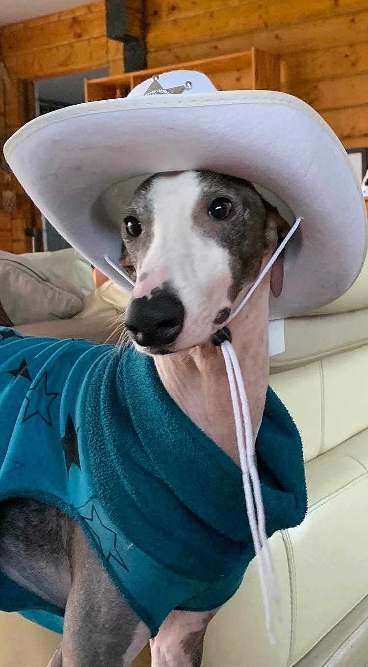 Cooper