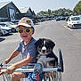 child, boy, puppy, dog, shopping_cart, sunglasses, cap, outdoor, sunny, parking_lot, car, pet, animal, smiling, summer, happy, retail, storefront, leash, playful