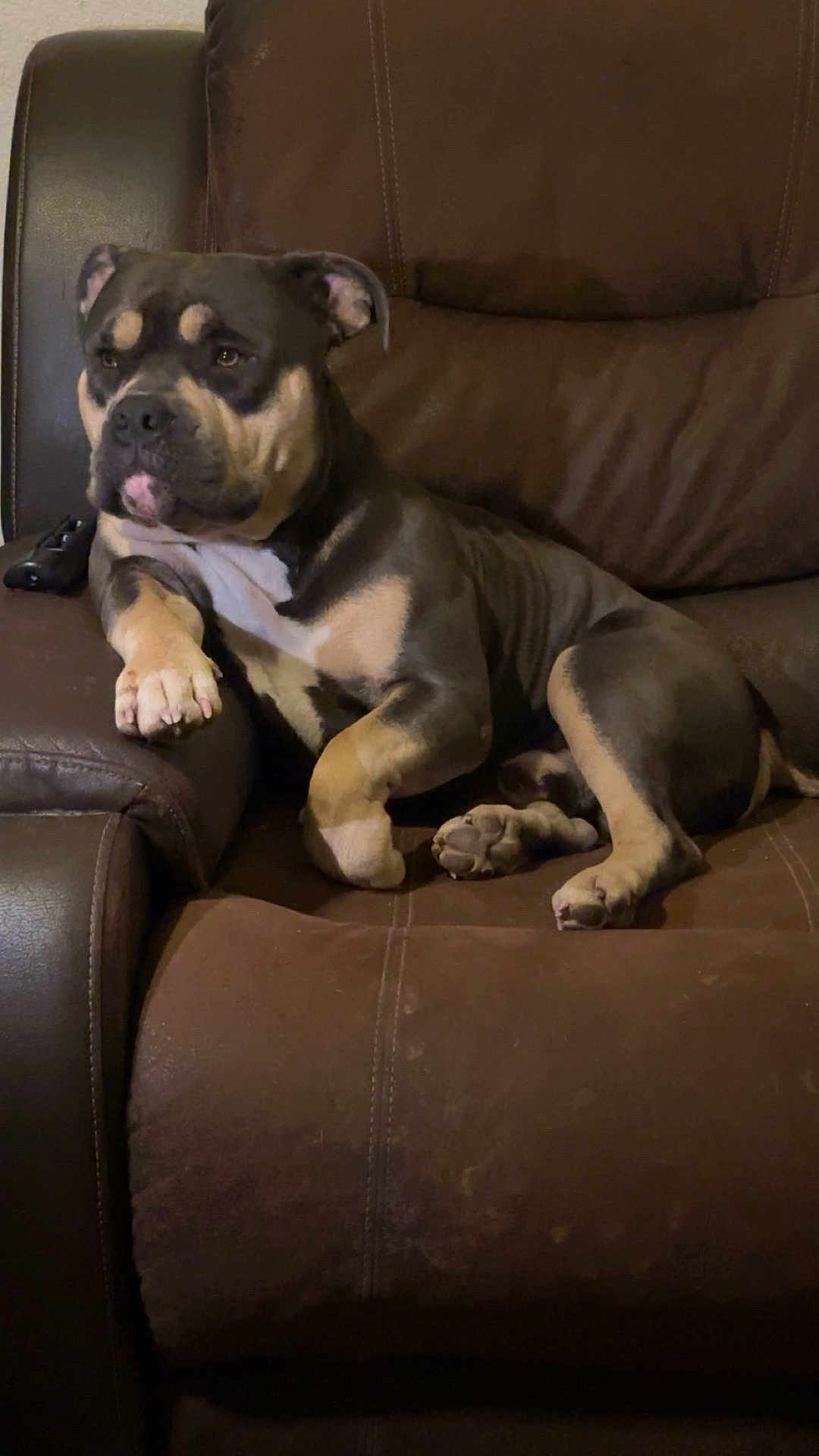 Duke