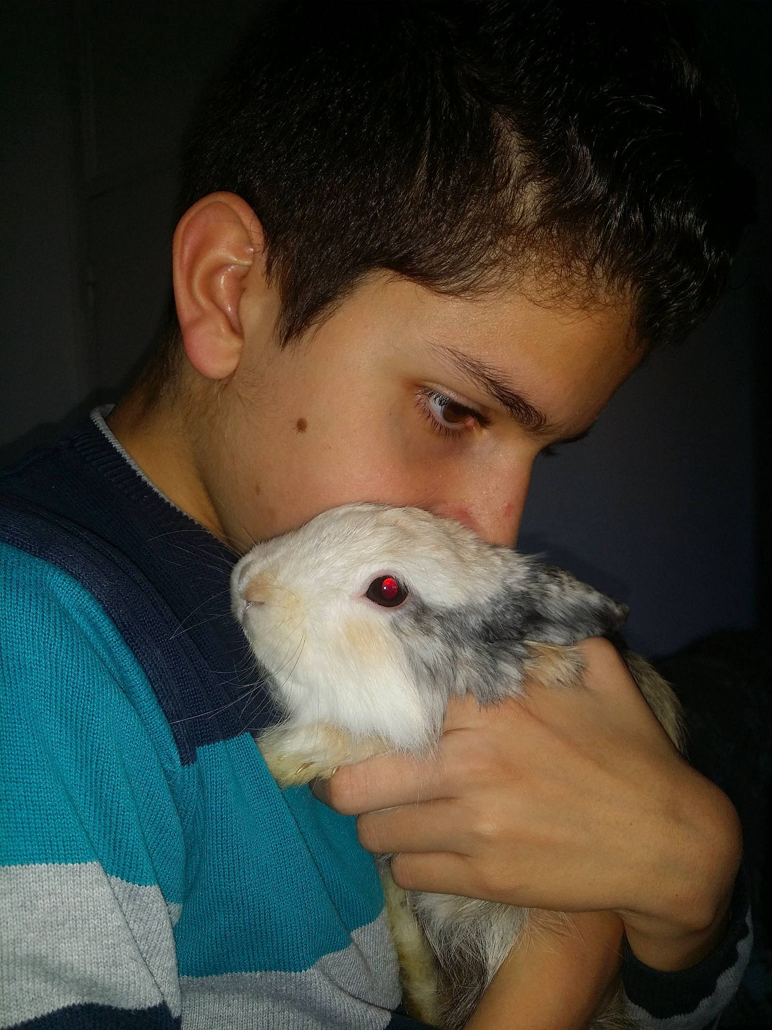 Bambi participe au concours pour gagner de l'argent avec cette photo : chinchilla, ear, fawn, gerbil, guinea_pig, hamster, muridae, muroidea, nose, person, rodent