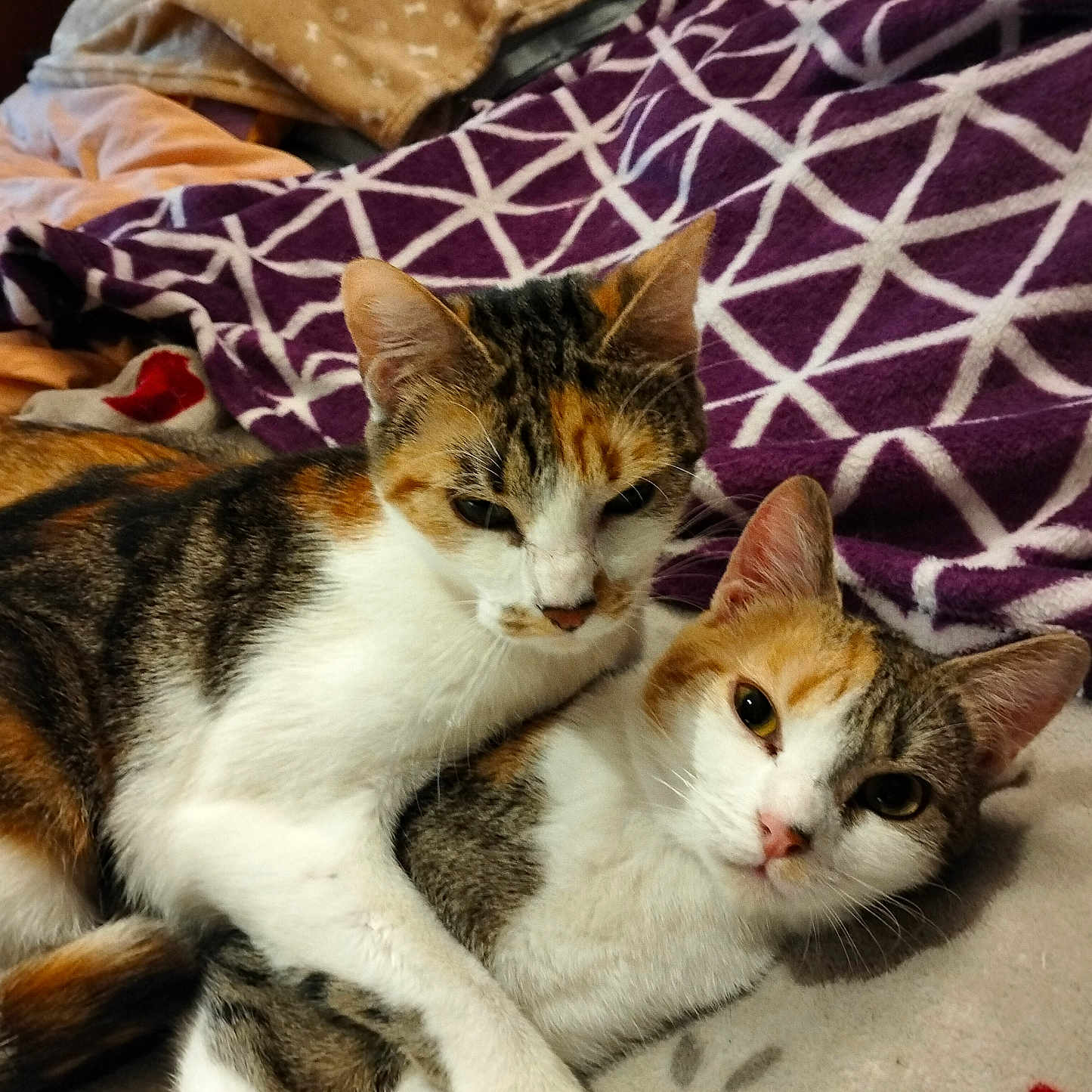 Opale Et Milie