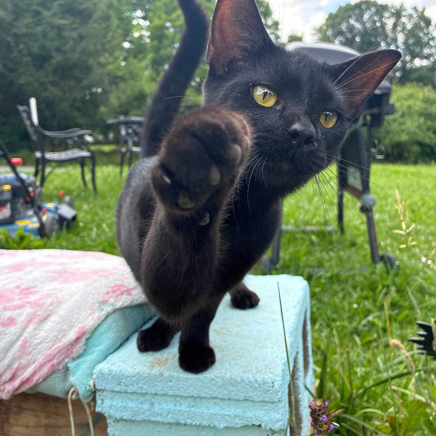 Salem