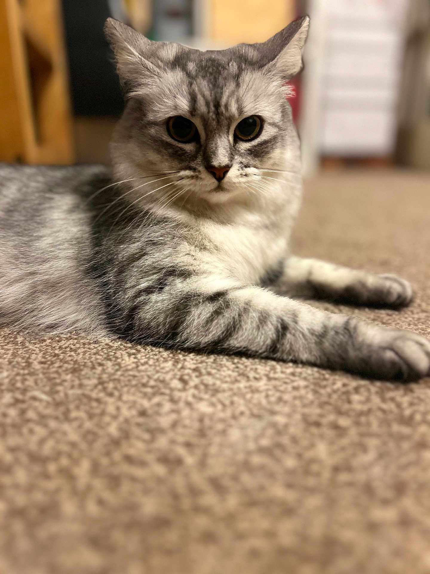 Angel