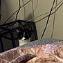 animal, black_and_white, blanket, cat, cozy, curiosity, curious, ears, eyes, furniture, home, indoor, patterned, peek, pet, pink, quilt, teal_box, wall, wires