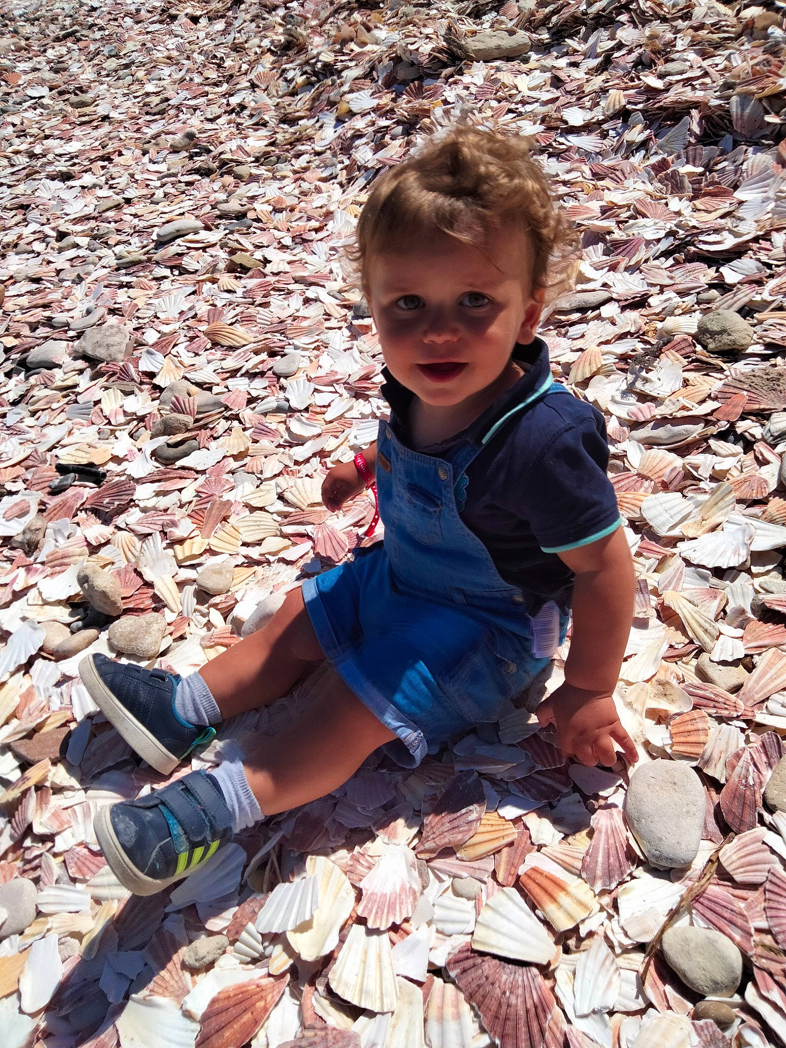 Adel participe au concours pour gagner de l'argent avec cette photo : adaptation, beauty, child, foot, fun, grass, human_leg, leaf, leg, people_in_nature, person, photograph, rock, sandal, shoe, sitting, smile, sneakers, soil, toddler