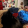 Phantom is registered to the contest to win money with this photo: black_cat, blanket, bed, towel, doll, toy, shelf, bottle, nail_polish, red_microwave, heart_balloon, room, indoor, clutter, furniture, cat, sleeping, stuffed_toy, decor, household