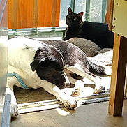 Oneil a rejoint le concours — aidez-le/la à gagner de superbes lots !