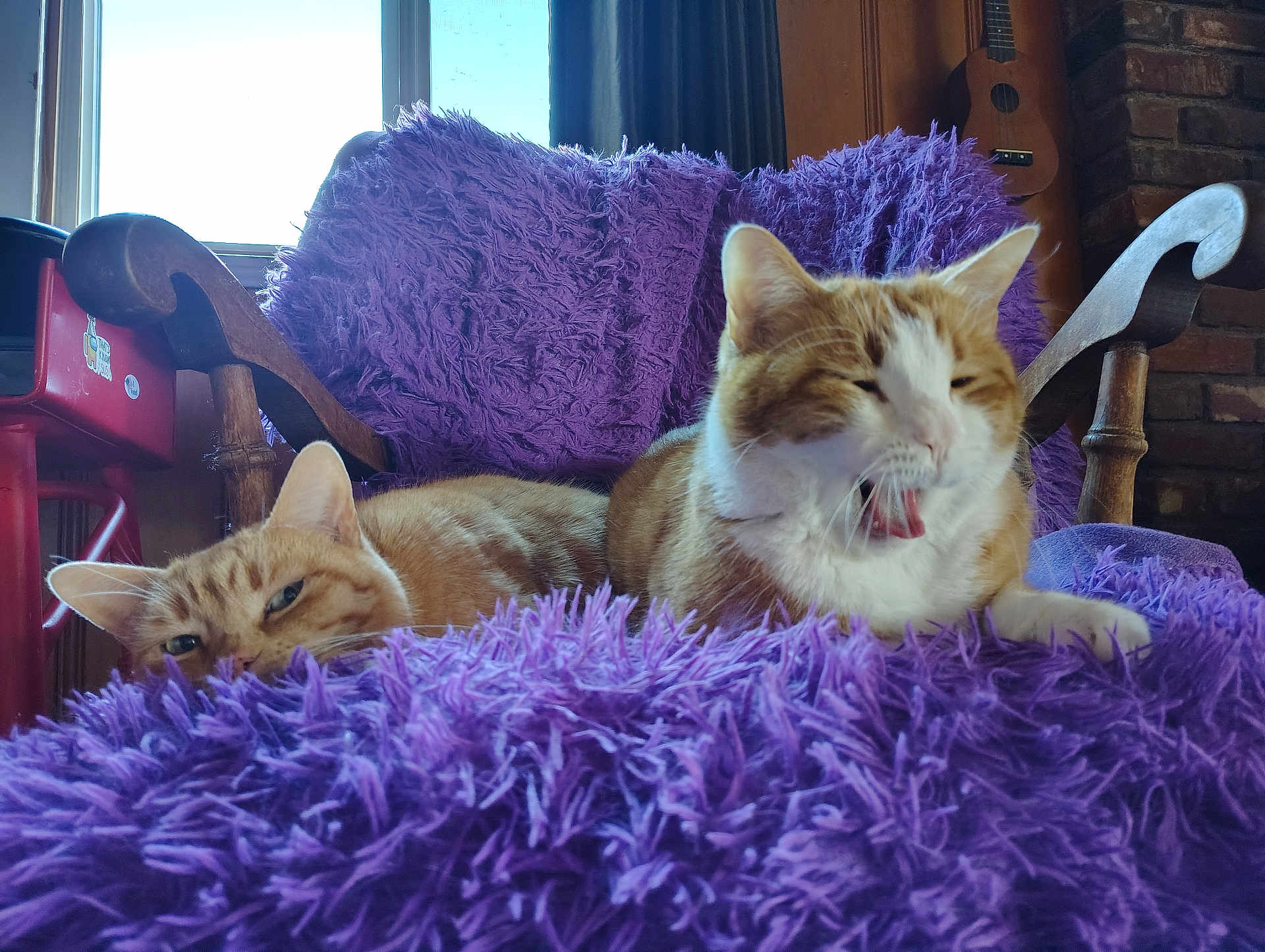 Mittens