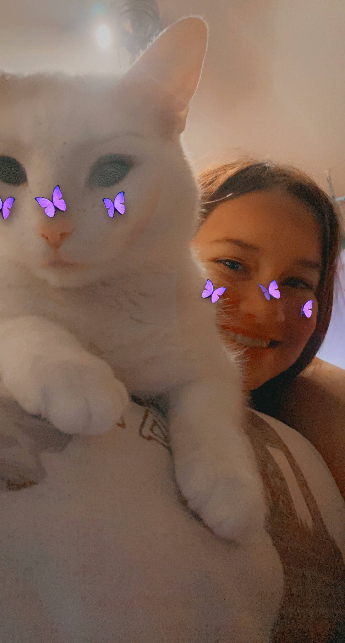 Alucard joined the competition — help win amazing prizes! cheek, chin, ear, eye, eyebrow, eyelash, facial_expression, fawn, gesture, hair, happy, head, human_body, iris, lip, mouth, nose, skin, toy, whiskers