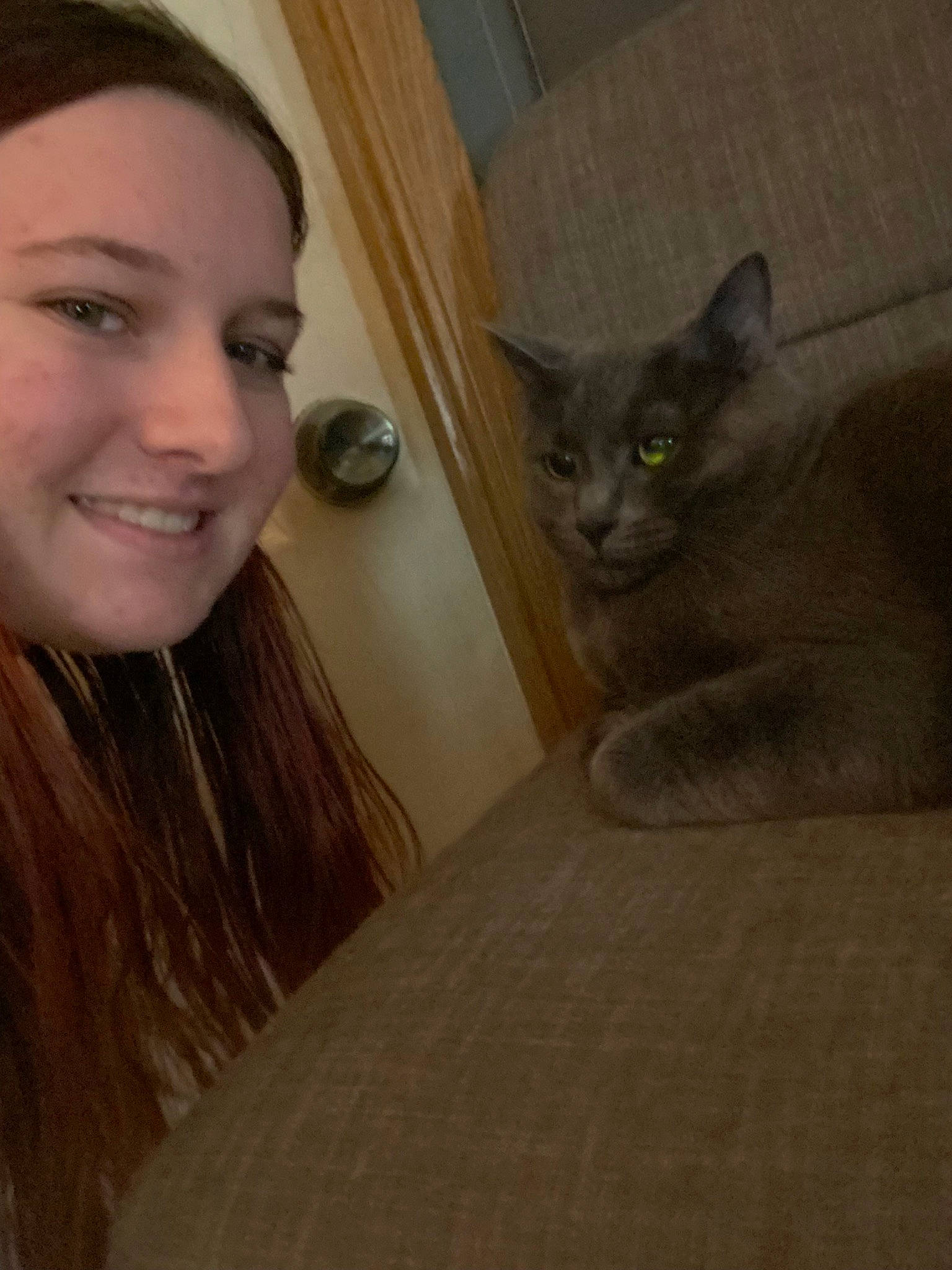 Stout joined the competition — help win amazing prizes! carnivore, cat, domestic_short_haired_cat, ear, eye, eyelash, fawn, felidae, fur, happy, iris, layered_hair, nose, russian_blue, selfie, small_to_medium_sized_cats, smile, snout, tail, whiskers