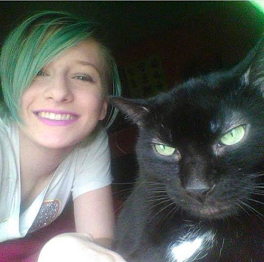 Cooper joined the competition — help win amazing prizes! bangs, black_cat, carnivore, cat, domestic_short_haired_cat, ear, eyebrow, eyelash, felidae, fur, gesture, happy, iris, jaw, layered_hair, nose, small_to_medium_sized_cats, smile, snout, whiskers