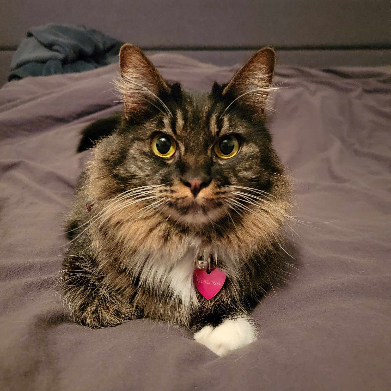 Boo
