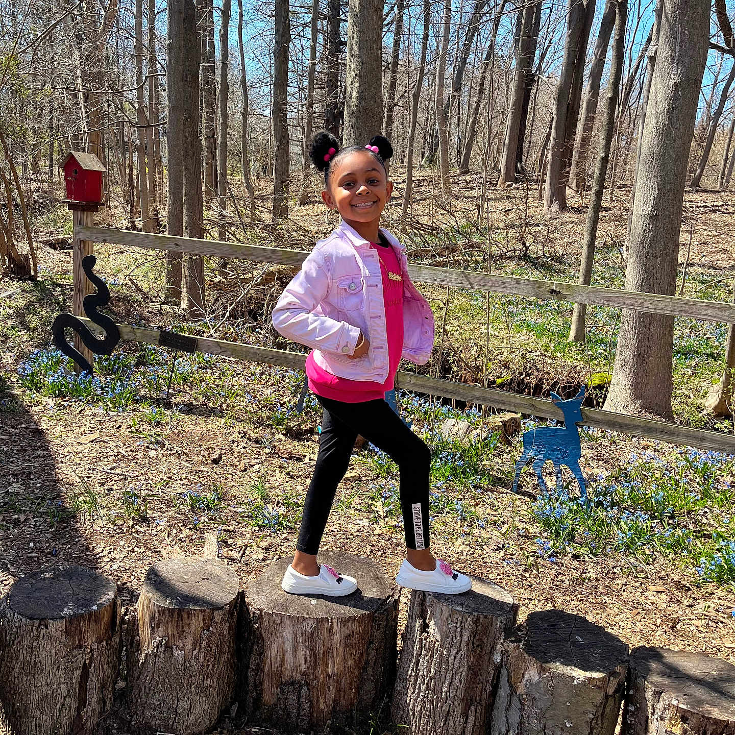 Victoria joined the competition — help win amazing prizes! child, clothing, face, female, girl, grove, head, land, nature, outdoors, pants, person, photography, plant, portrait, standing, tree, treestump, vegetation, woodland