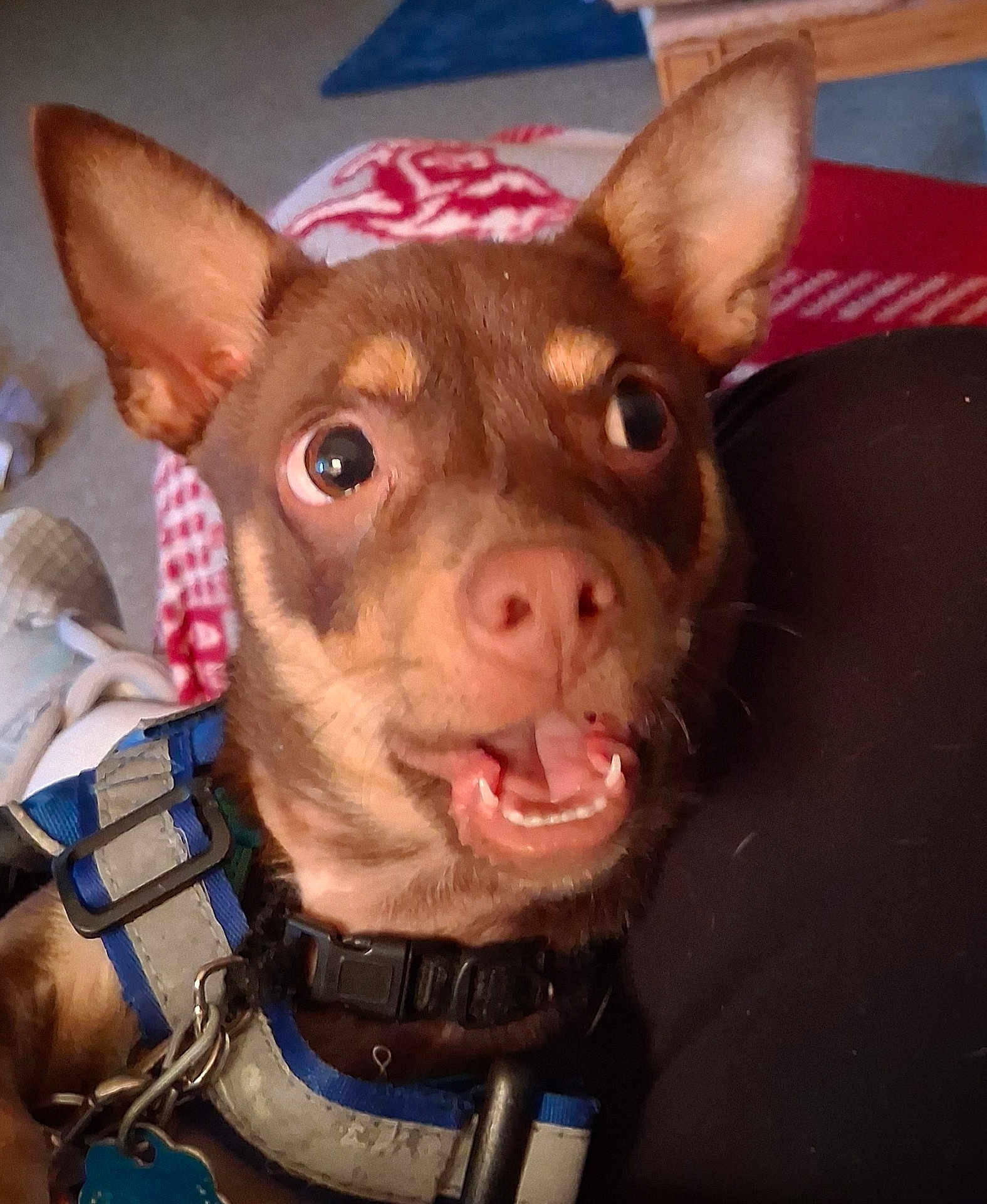 Coco