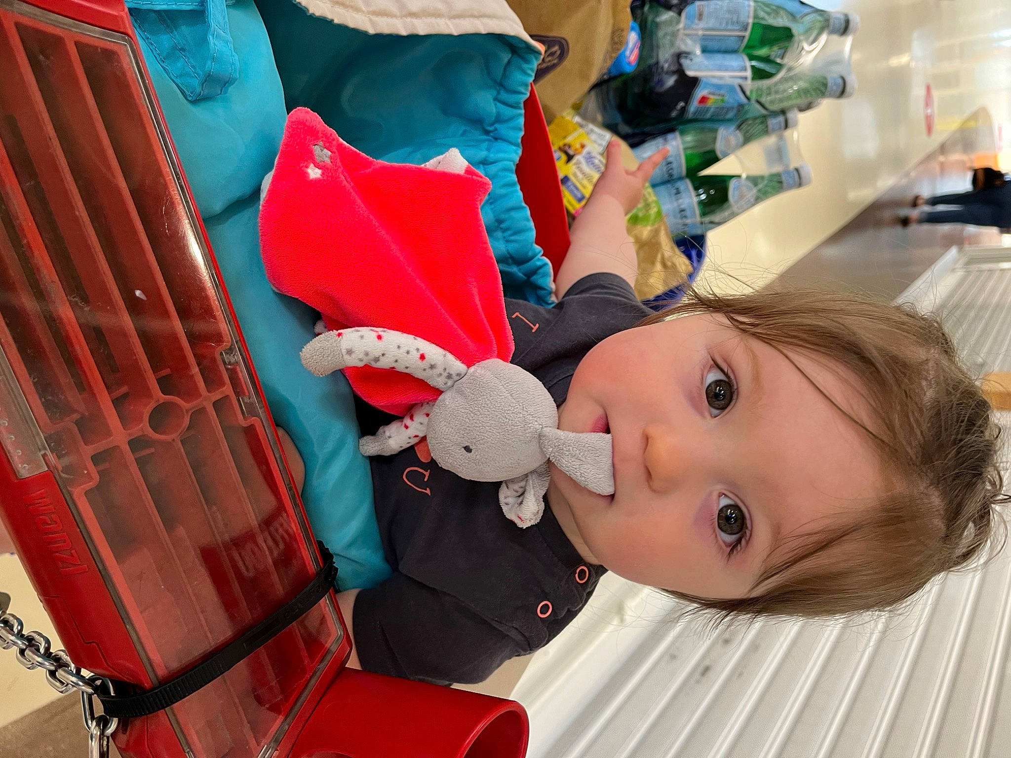 Alessia participe au concours pour gagner de l'argent avec cette photo : baby, baby_products, carmine, child, christmas, costume, fashion_accessory, fictional_character, fun, green, happy, leisure, party_supply, pattern, person, red, room, stuffed_toy, toddler, toy