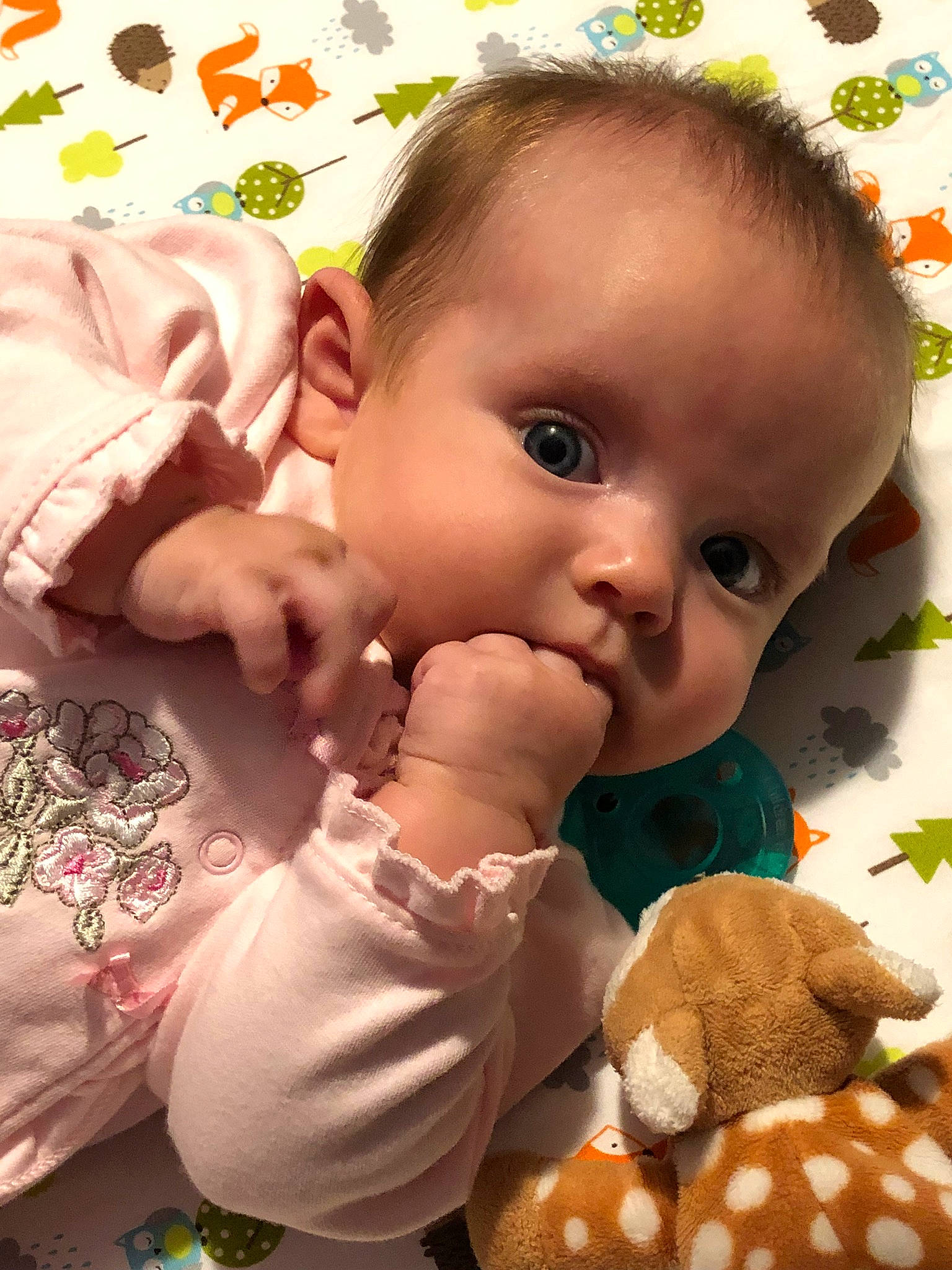 Lynley is registered to the contest to win money with this photo: baby, cheek, child, happy, person, play, smile, stuffed_toy, toddler, toy