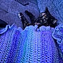 Meow Meow is registered to the contest to win money with this photo: cat, tortoiseshell_cat, blanket, crochet_blanket, crochet, sofa, couch, remote_control, cozy, indoor, pet, paw, tongue, wide_eyes, upholstery, textile, purple, blue_lighting, relaxed, playful