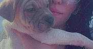 Waylon is registered to the contest to win money with this photo: animal, blue_sky, bracelet, closeup, cute, daytime, dog, expression, face, floral_clothing, glasses, hand, holding, outdoor, person, pet, portrait, puppy, sunlight, young_adult