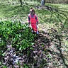 Calianna is registered to the contest to win money with this photo: botany, forest, groundcover, jungle, leaf, plant, plant_community, recreation, shrub, soil, trail, tree, woodland
