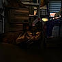 cat, black_cat, animal, pet, floor, indoor, dim_lighting, yellow_eyes, shadow, box, paper_towels, household_items, clutter, resting, feline, domestic_cat, dark, mysterious, quiet, room