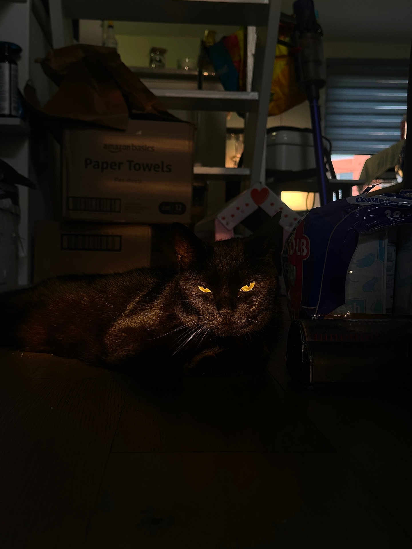 Nera is registered to the contest to win money with this photo: cat, black_cat, animal, pet, floor, indoor, dim_lighting, yellow_eyes, shadow, box, paper_towels, household_items, clutter, resting, feline, domestic_cat, dark, mysterious, quiet, room