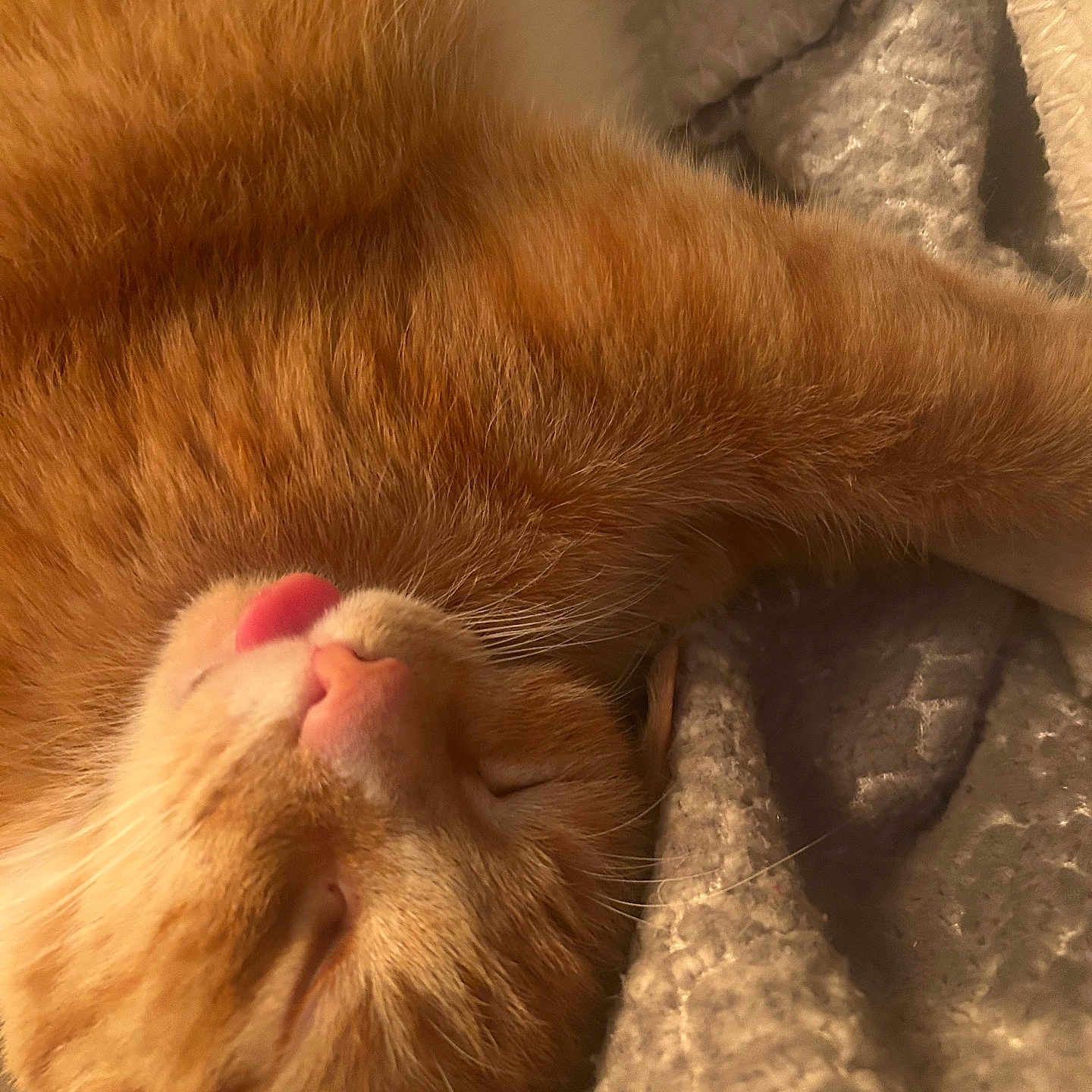 Peanut