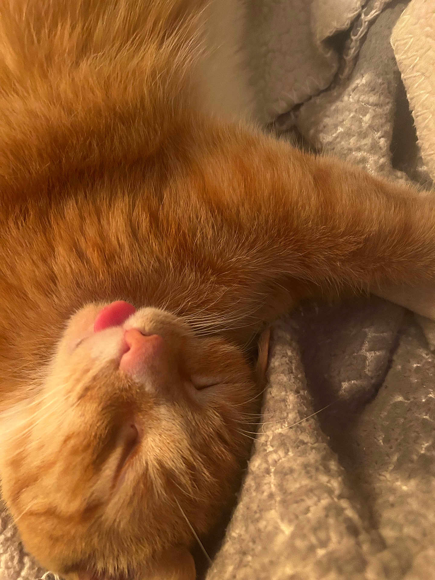 Peanut