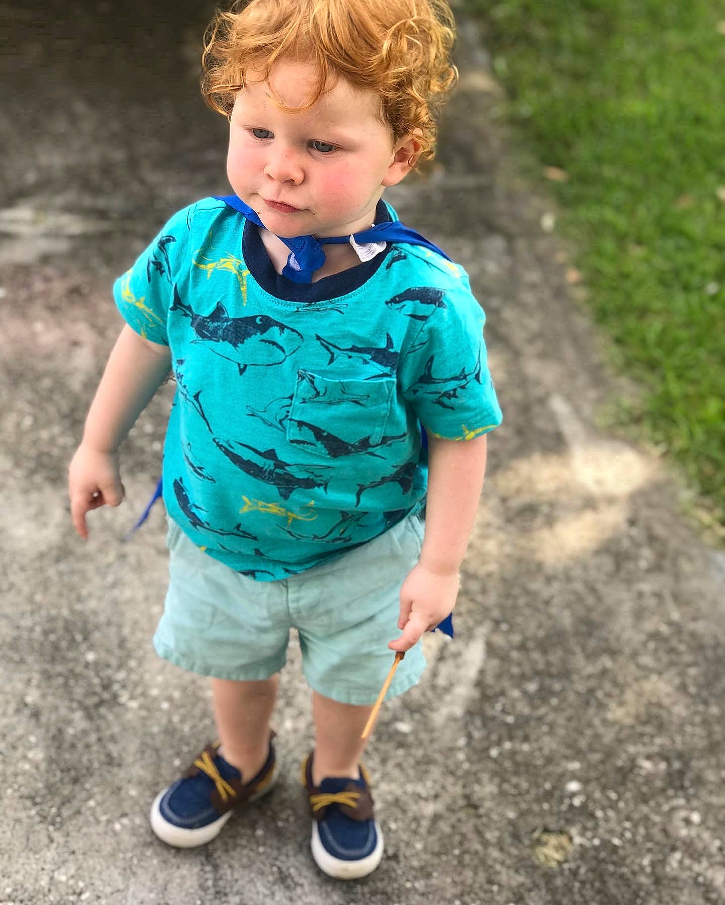Noah is registered to the contest to win money with this photo: baby_toddler_clothing, child, cool, electric_blue, eye, face, footwear, grass, hair, happy, human_body, leg, leisure, people_in_nature, person, shorts, sleeve, sneakers, t_shirt, toddler