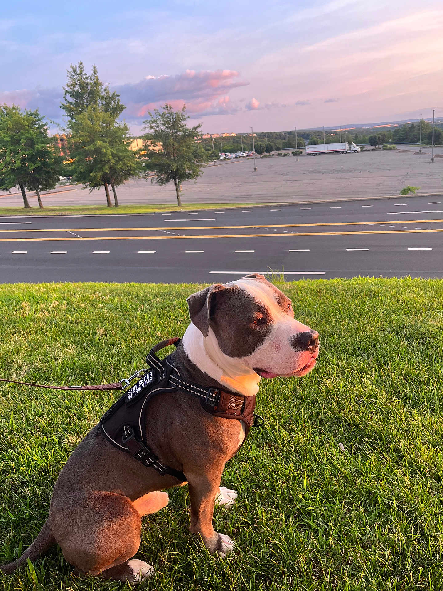 Rocky