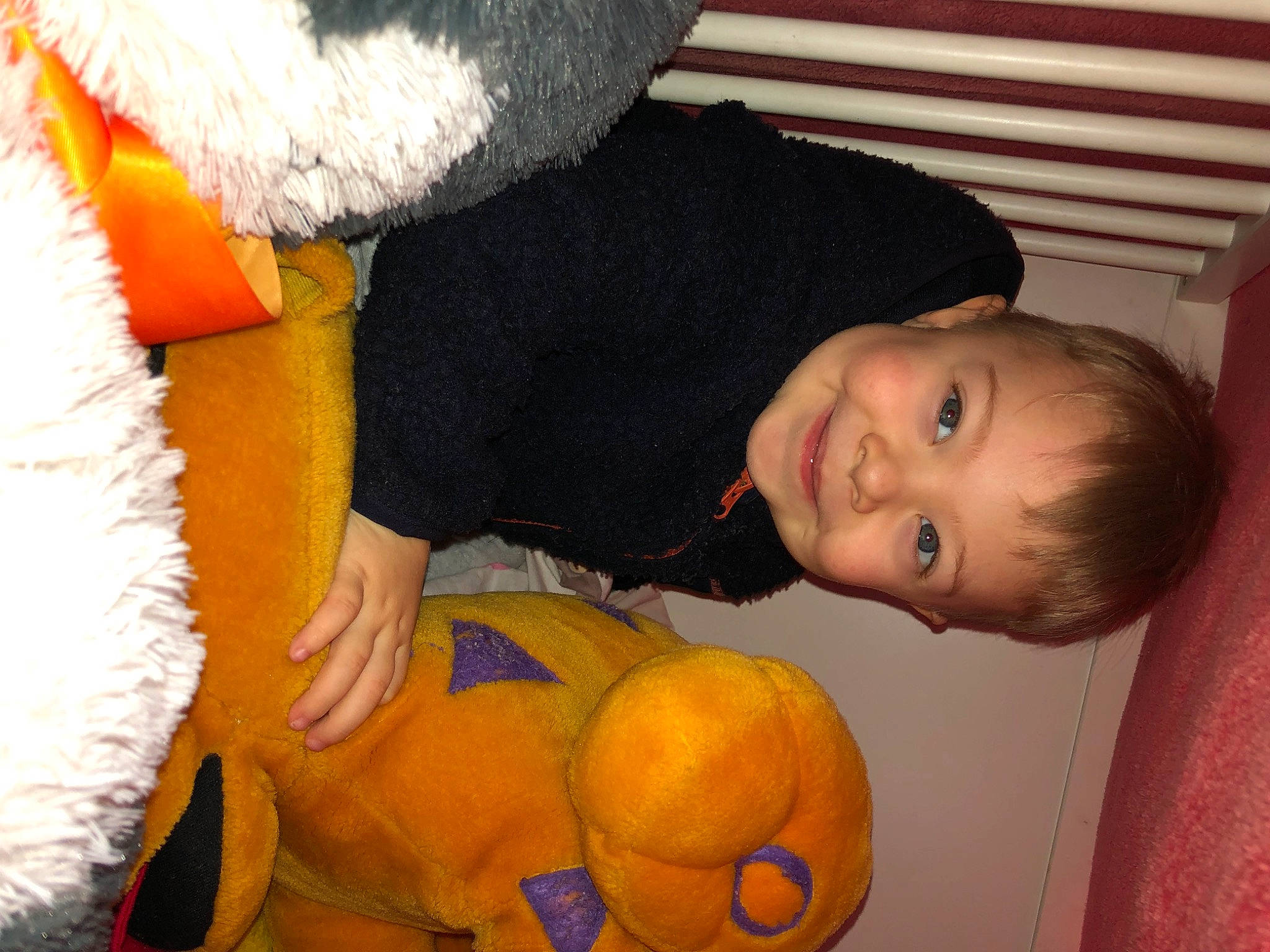 Tiago participe au concours pour gagner de l'argent avec cette photo : calabaza, child, eye, fun, gourd, head, human_body, joy, mammal, nose, orange, organ, person, plant, pumpkin, smile, squash, toy, tree, vegetable