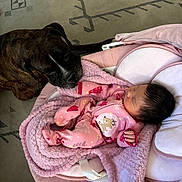 Izarayla is registered to the contest to win money with this photo: baby, dog, sleeping, pink_blanket, pink_pajamas, indoor, carpet, pet, animal, child, cozy, cute, face, fur, resting, home, infant, mammal, comfort, tenderness