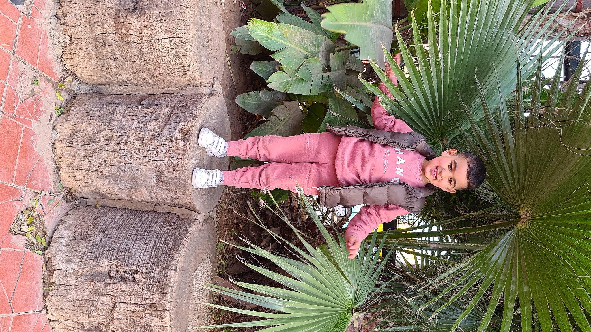 Mohamed participe au concours pour gagner de l'argent avec cette photo : arecales, desert_palm, flowering_plant, garden, green, joy, jungle, leaf, organism, palm_tree, person, plant, plant_stem, sabal_minor, saw_palmetto, smile, terrestrial_plant, toddler, tree, trunk