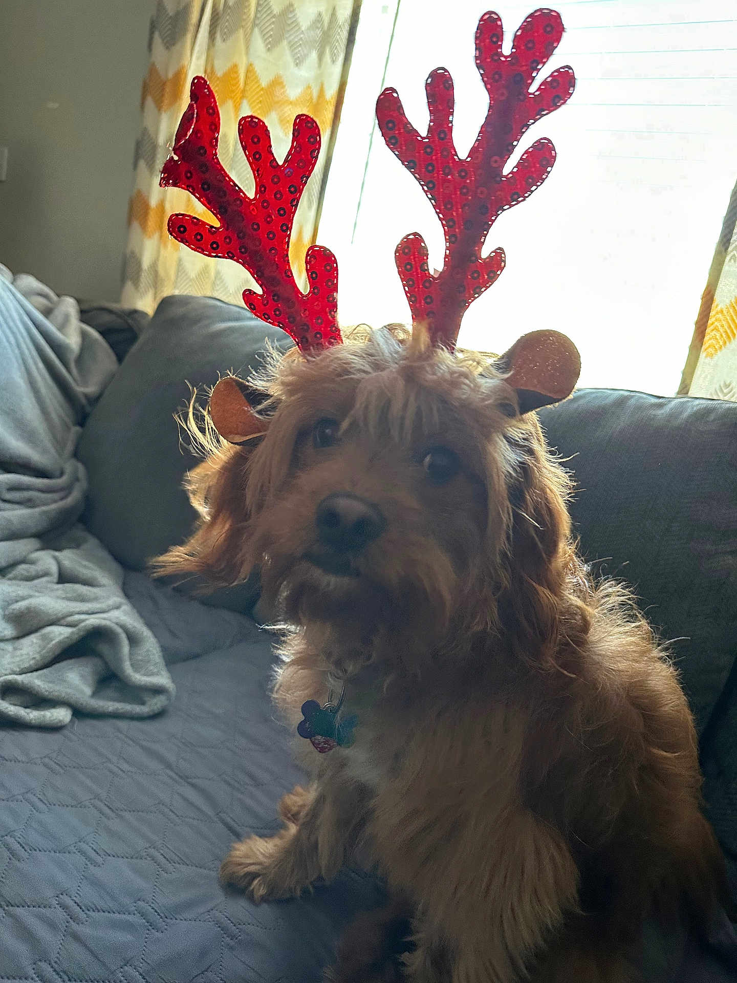 Winston