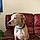 Toby