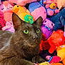 black_cat, green_eyes, plush_toys, colorful, stuffed_animals, toy_mouse, playful, hat, indoor, pet, animal, cute, feline, soft_texture, bright_colors, close_up, relaxed, toy_collection, background, decorative