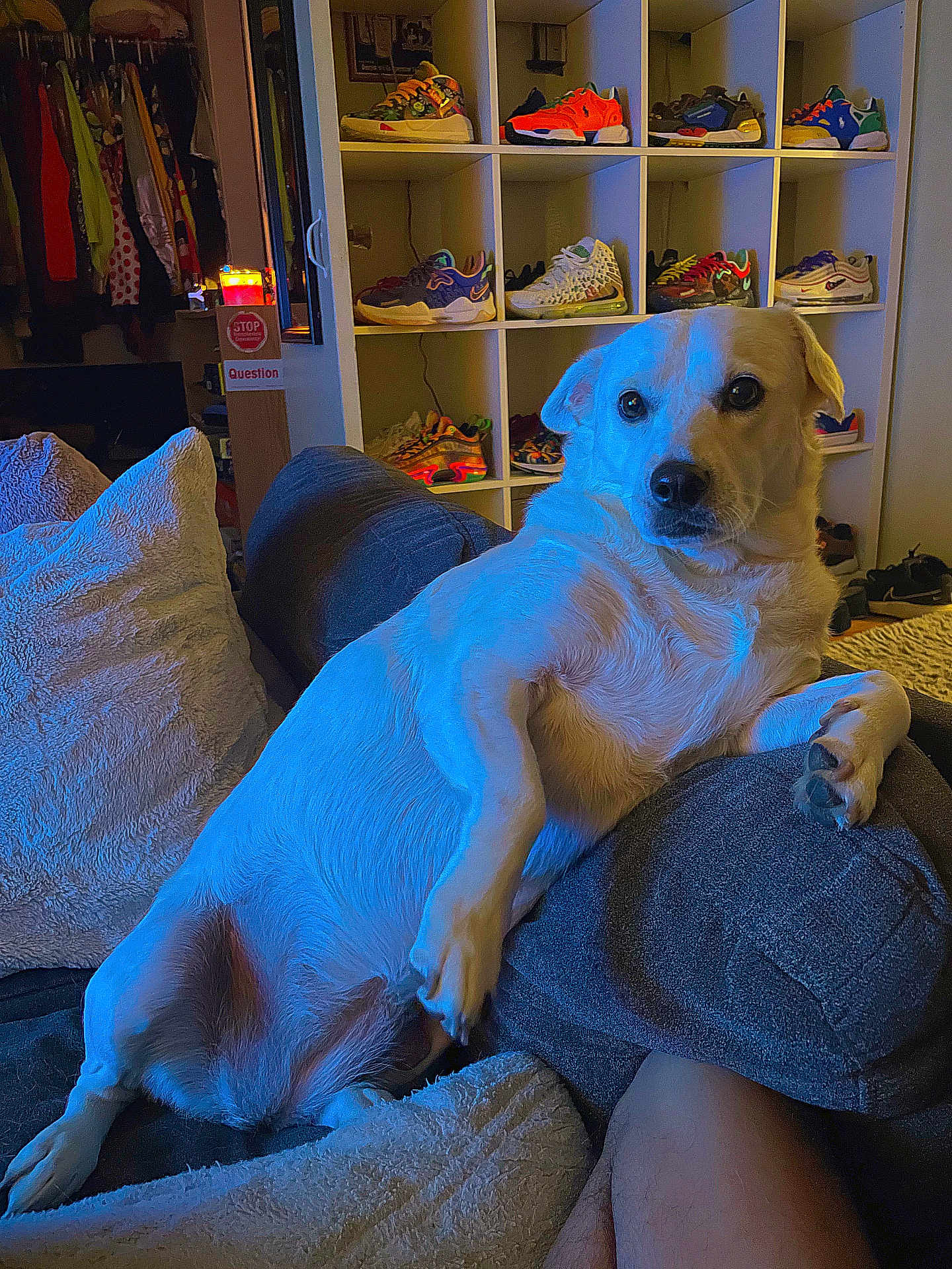 Gigi