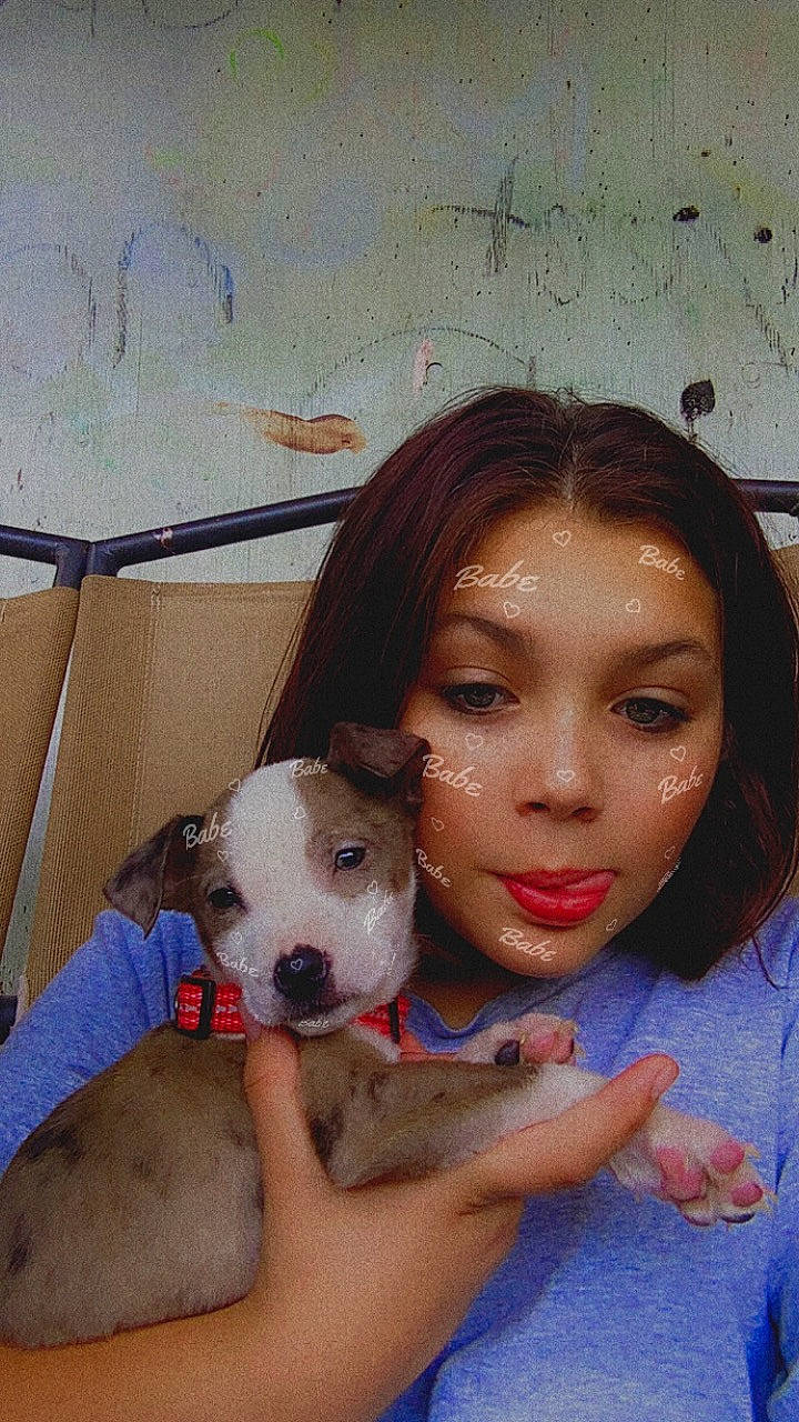 Bluey joined the competition — help win amazing prizes! black_hair, carnivore, companion_dog, dog, dog_breed, eyelash, eyewear, fawn, flash_photography, happy, iris, jaw, nose, selfie, skin, snout, thigh, trunk, whiskers, working_animal