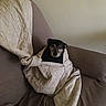 animal, beige, blanket, brown, calm, canine, comfort, couch, cozy, dog, fur, furniture, home, indoor, pet, quilt, relaxation, resting, snug, wrapped