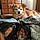 Oddy