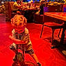 Zaylin joined the competition — help win amazing prizes! child, braids, bottle, red_floor, restaurant, table, adults, seated, dining, colorful_lighting, indoor, playful, casual_clothing, shoes, chair, flooring, people, food, family, fun