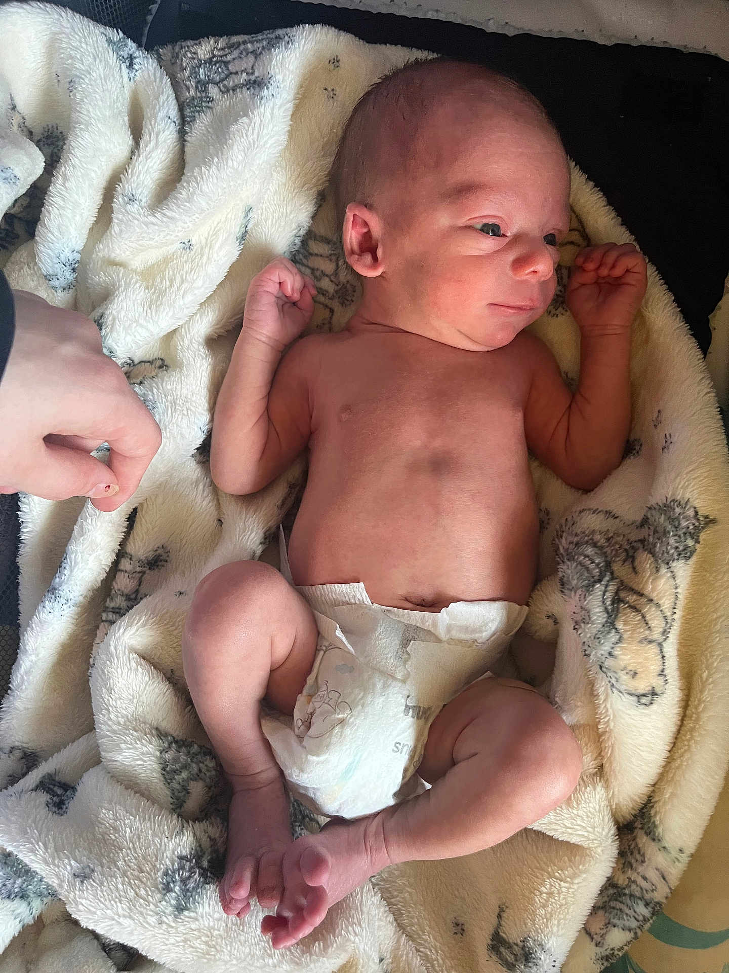 Rowan is registered to the contest to win money with this photo: newborn, baby, infant, diaper, blanket, hand, skin, foot, toe, arm, leg, face, expression, resting, soft, pattern, indoor, person, cute, sleepy