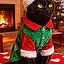 black_cat, cat, christmas_clothing, christmas_hat, christmas_tree, costume, cozy, decorations, feline, festive, fireplace, green, heart_pattern, holiday, holiday_season, indoor, pet, red, santa_hat, warm_lighting